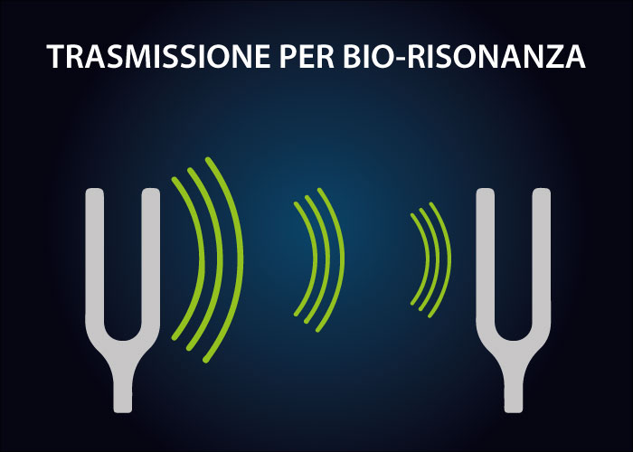 2. TRASMISSIONE