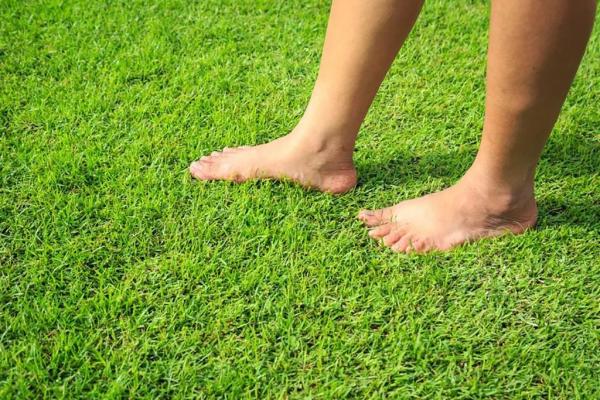  Che cos'è il grounding e perché è importante per il riequilibrio?